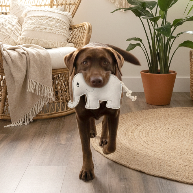 BUDDY. Hundespielzeug aus Leder "Elefant" - TierVita