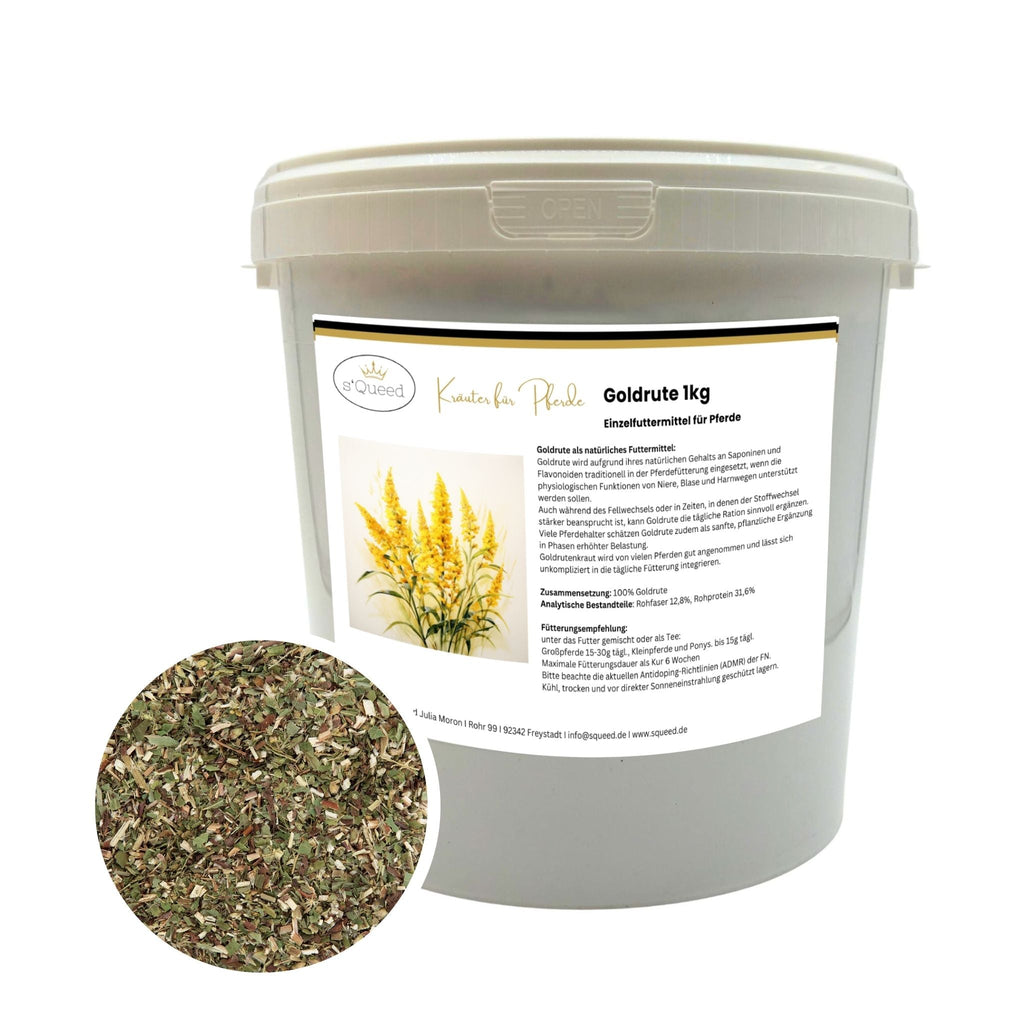 Goldrute Pferd 1kg - TierVita