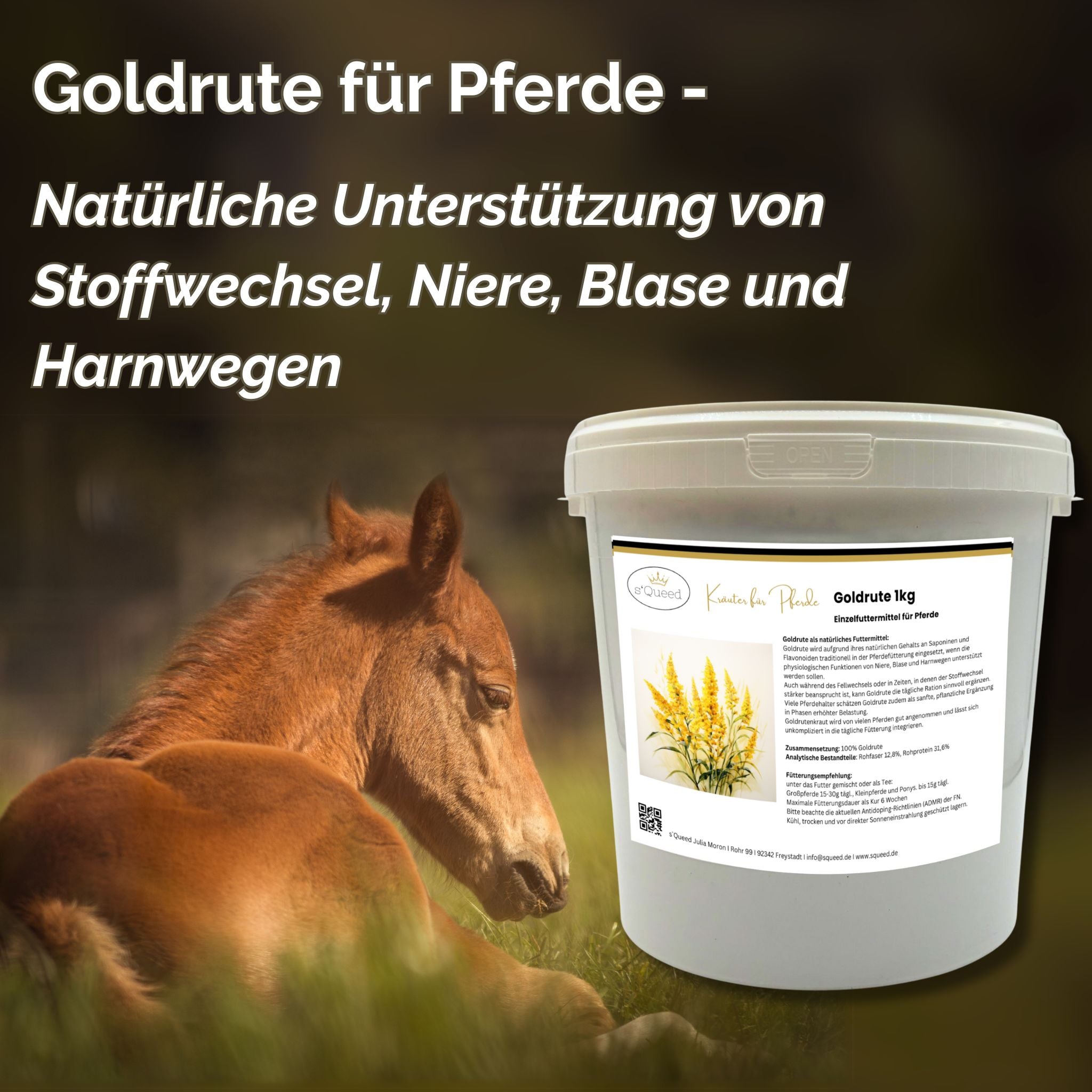 Goldrute Pferd 1kg - TierVita