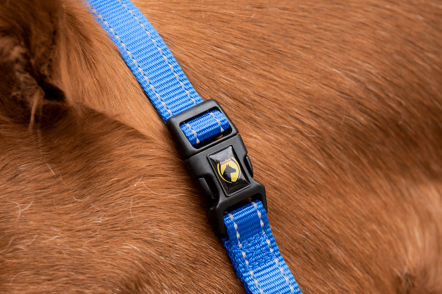 Excellent Essential Halfter Blau XS
