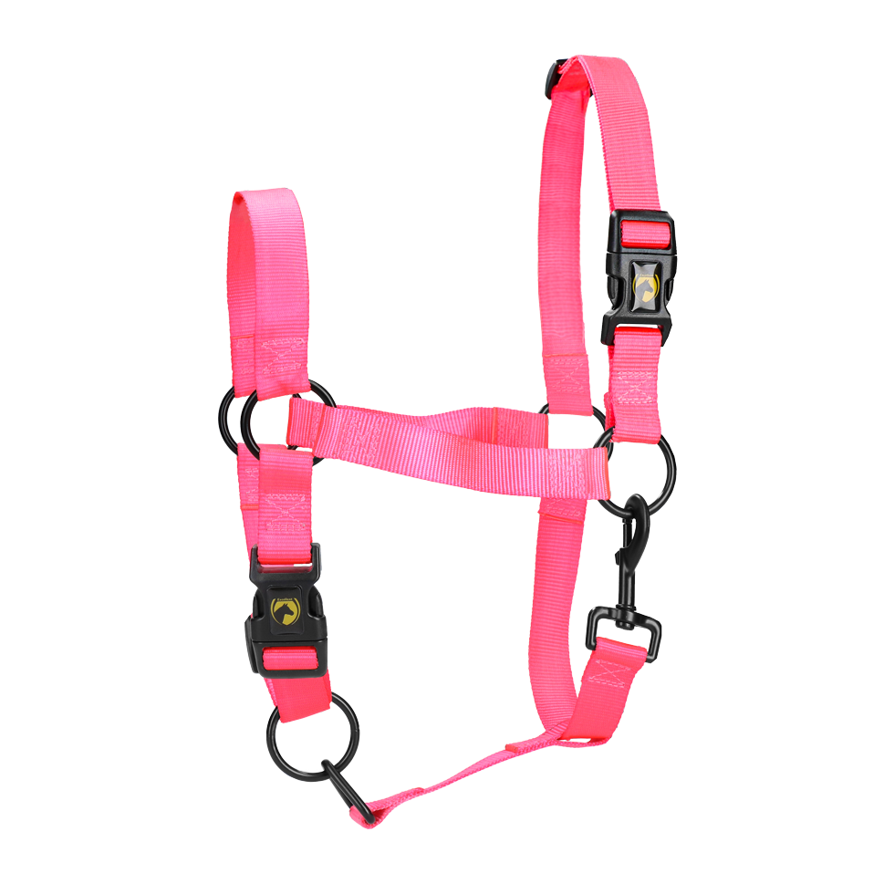 Excellent Essential Halfter Rosa L