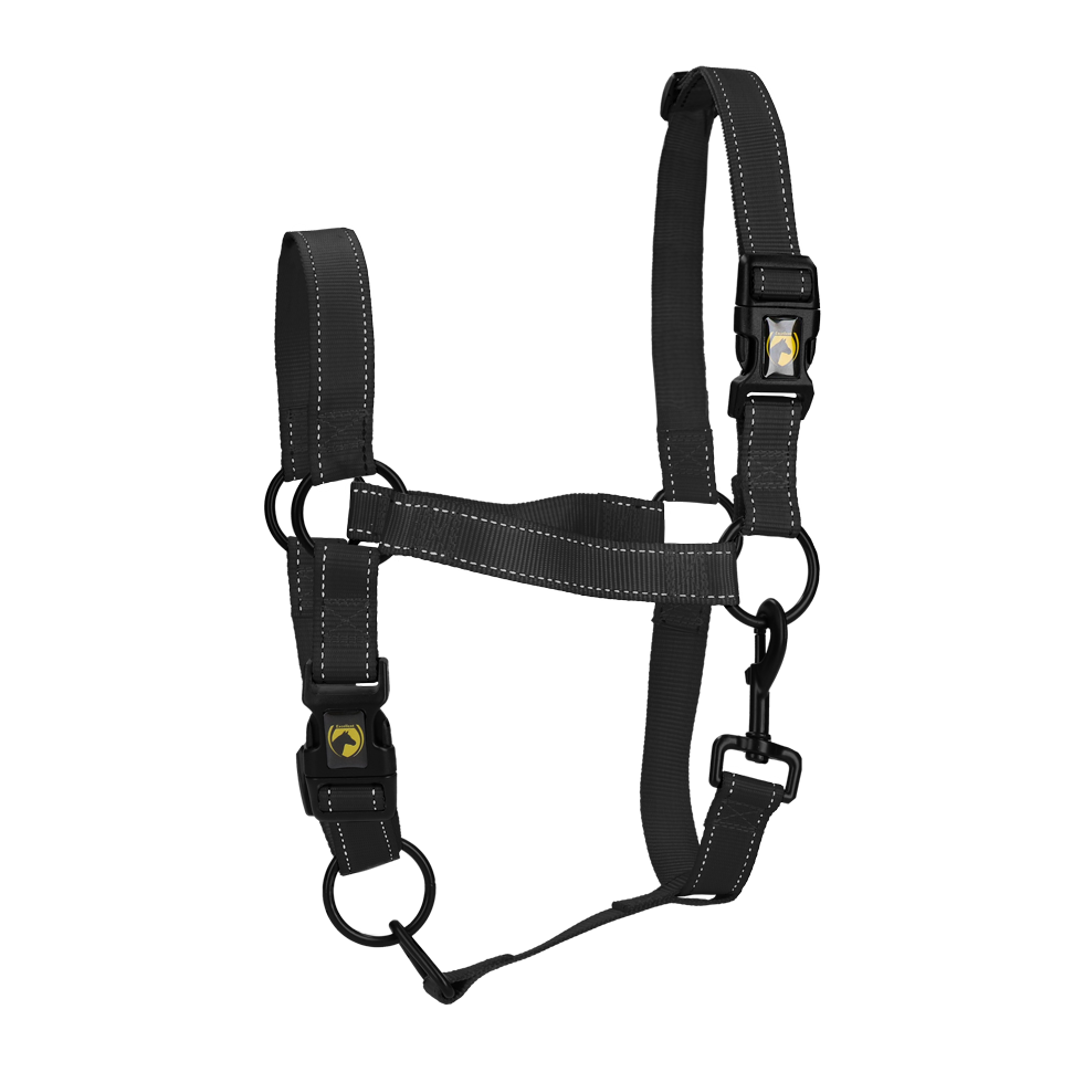 Excellent Premium Halfter Schwarz XS