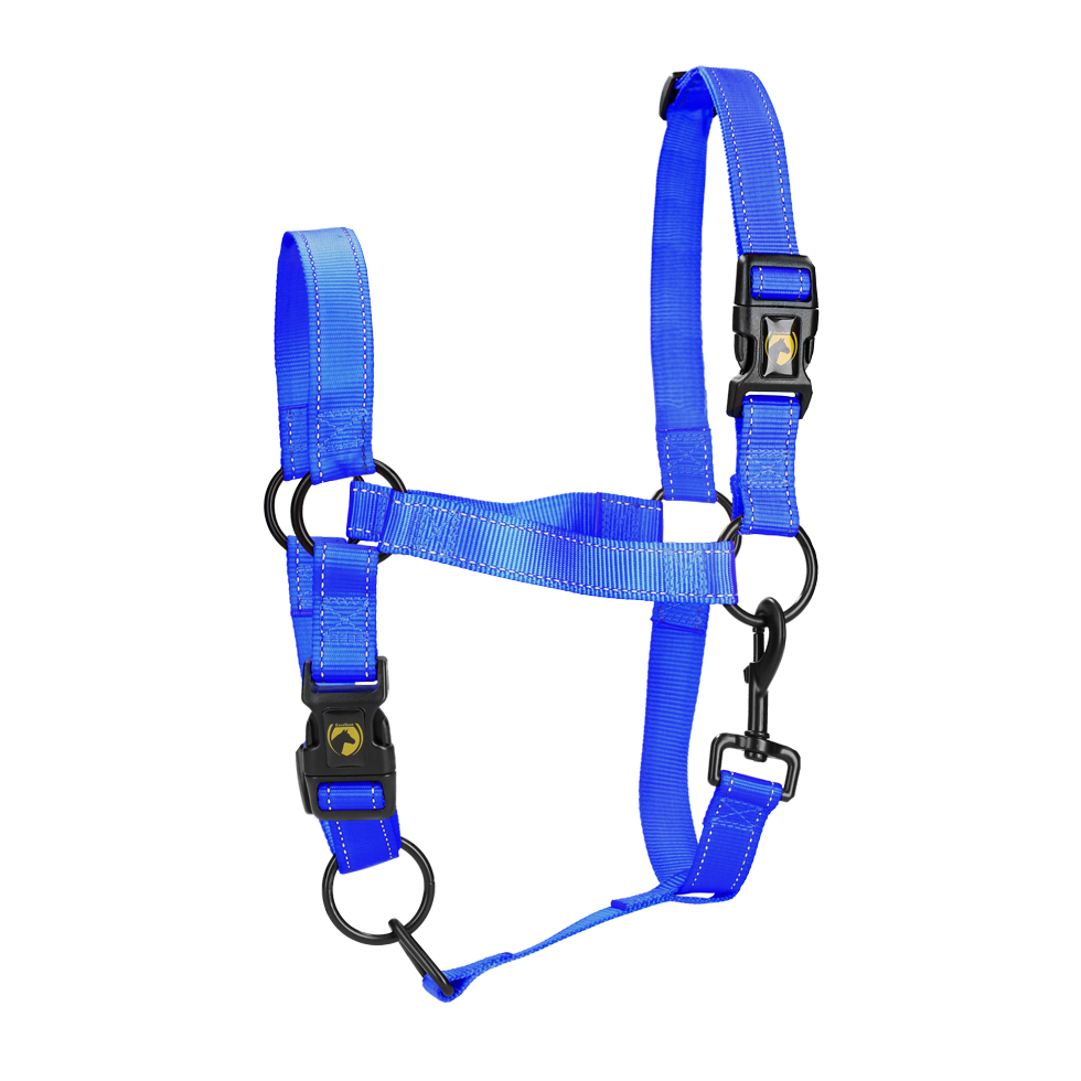 Excellent Premium Halfter Blau M