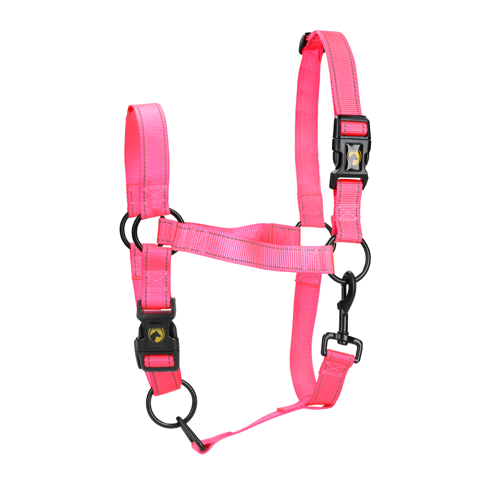 Excellent Premium Halfter Rosa L