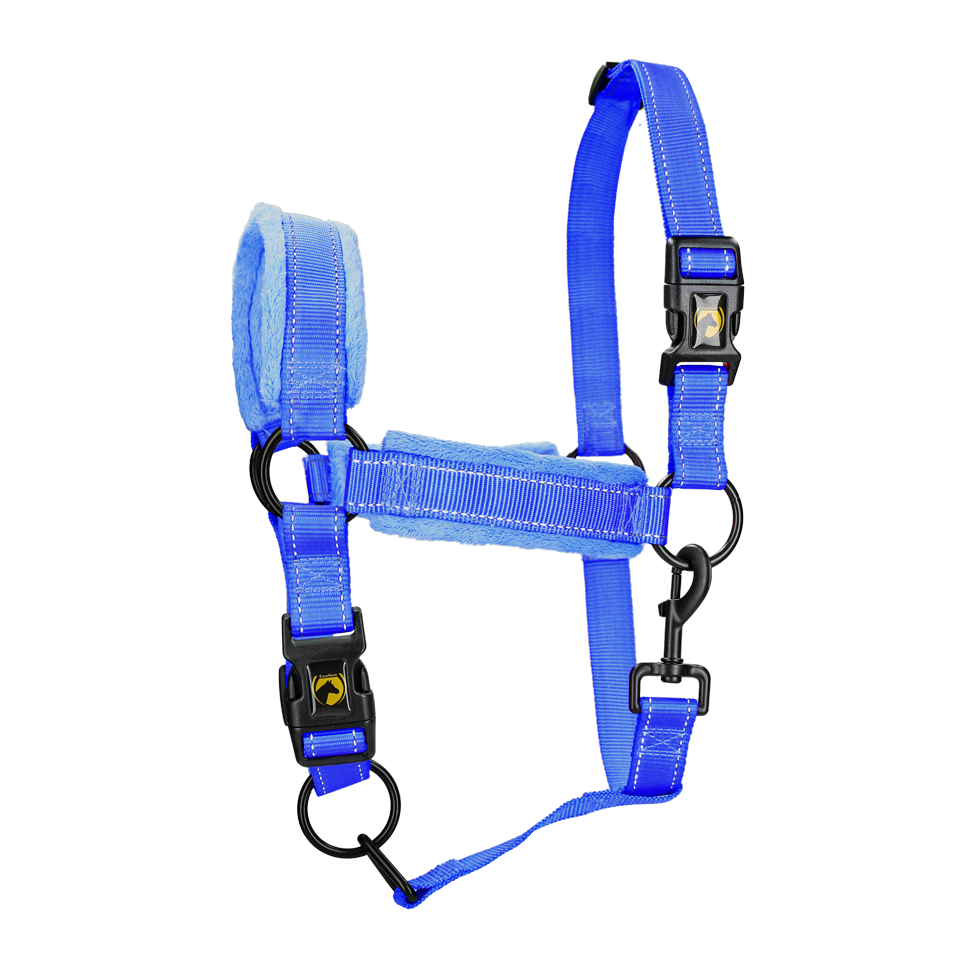 Excellent Superior Halfter Blau XS
