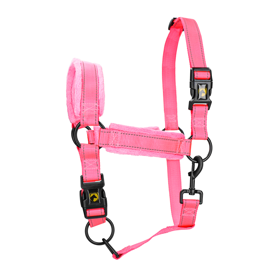 Excellent Superior Halfter Rosa S