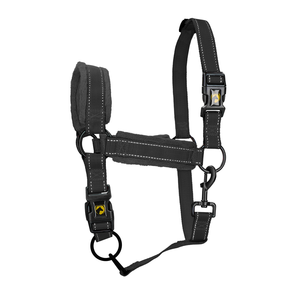 Excellent Superior Halfter Schwarz M