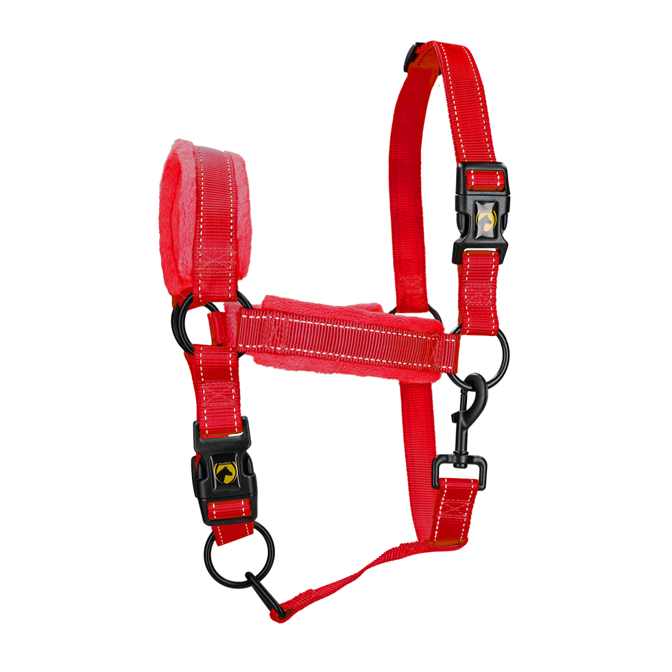 Excellent Superior Halfter Rot XL