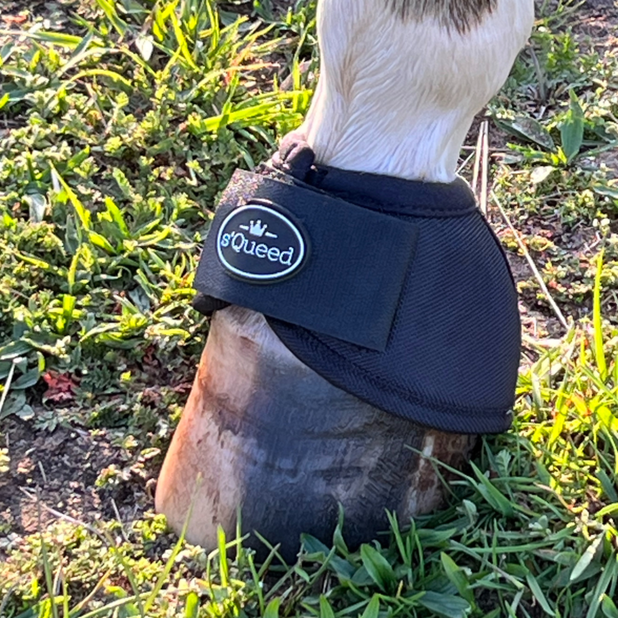 Hufglocken Bell Boots - TierVita