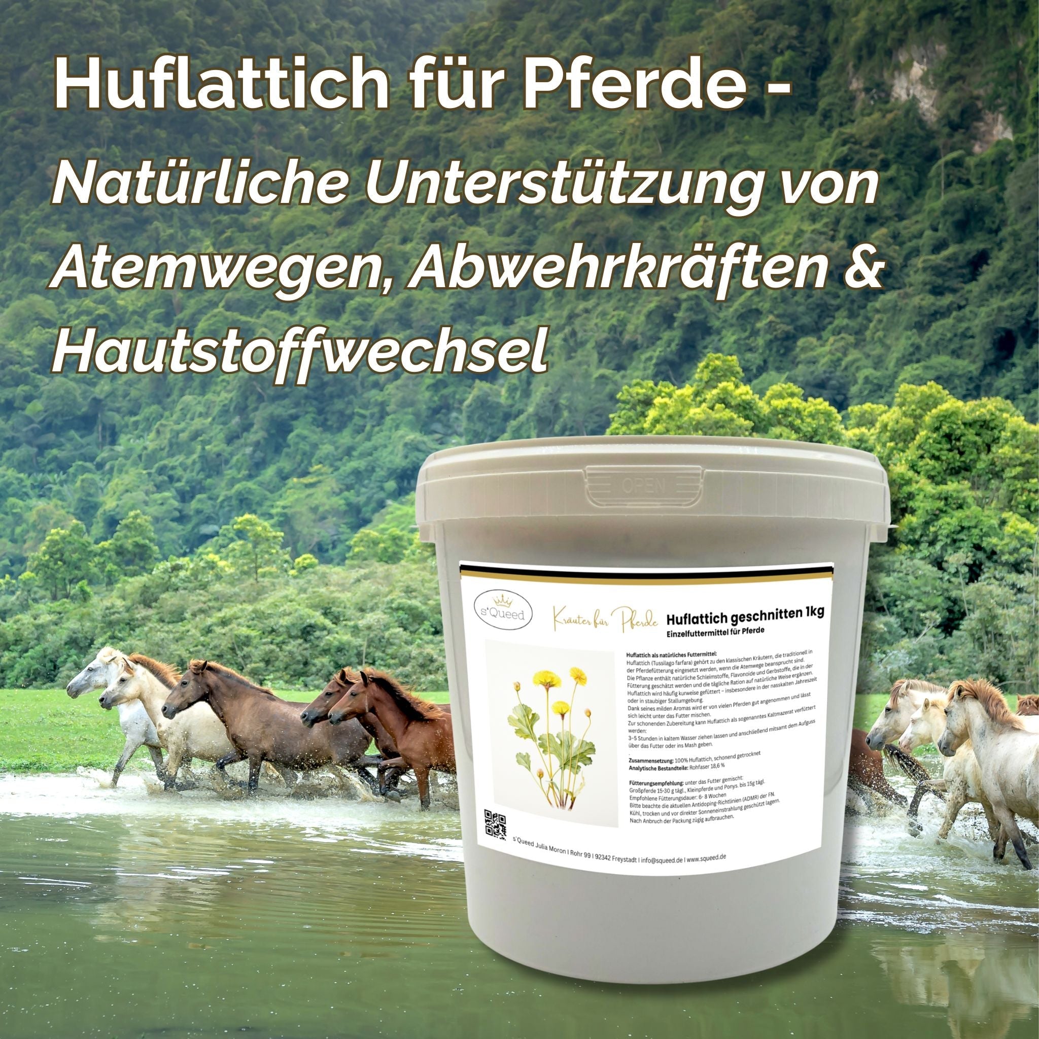 Huflattich Pferd 1kg - TierVita