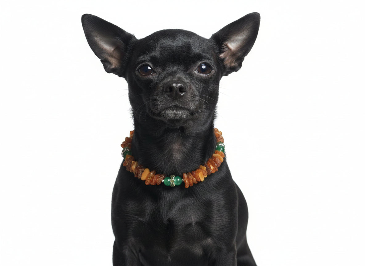 amberdog Hunde Bernsteinkette mit Jade Länge 23cm - TierVita