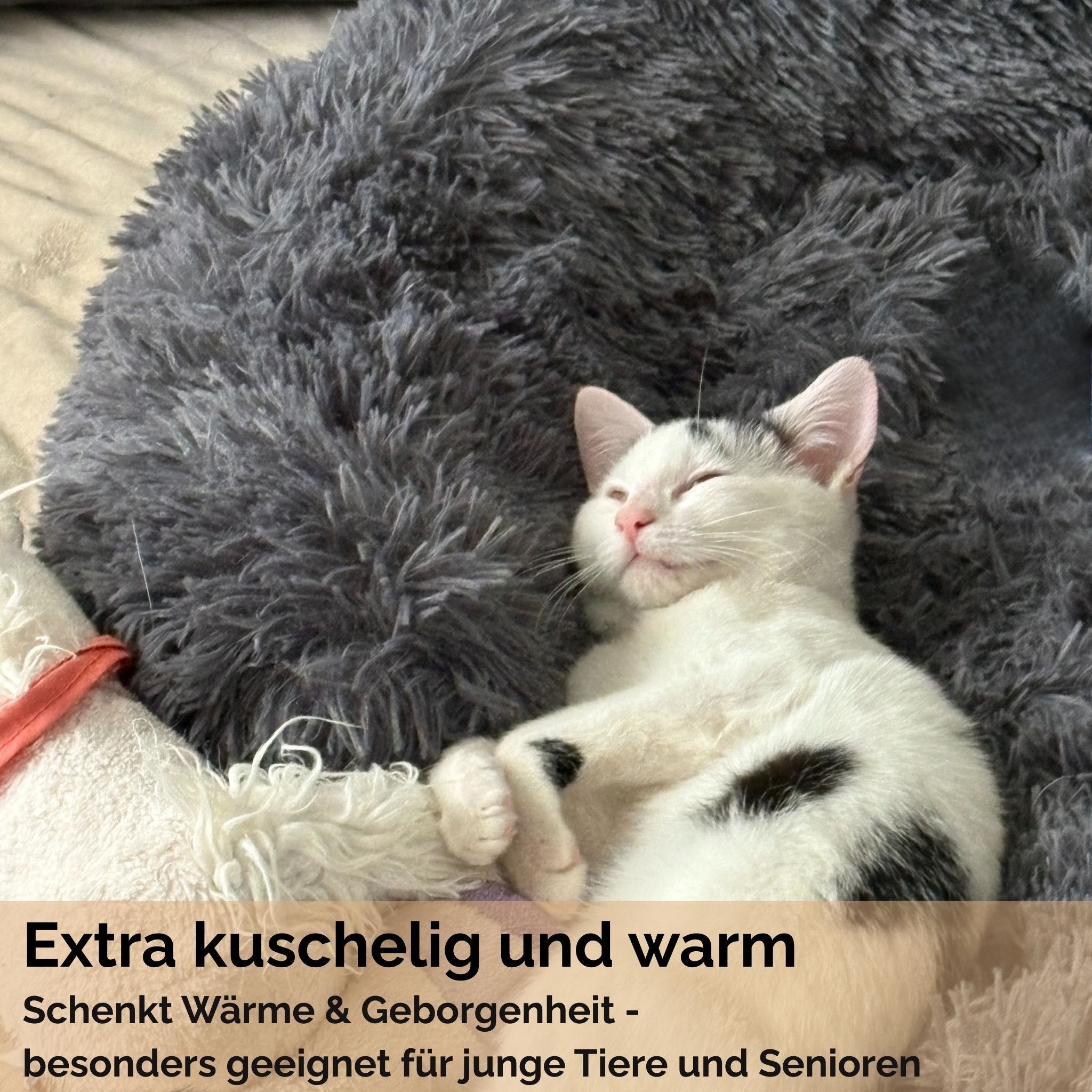Hundebett "Balu" kuschelig weiche & waschbare Auflage – mit hohem Rand für Auto & Sofa