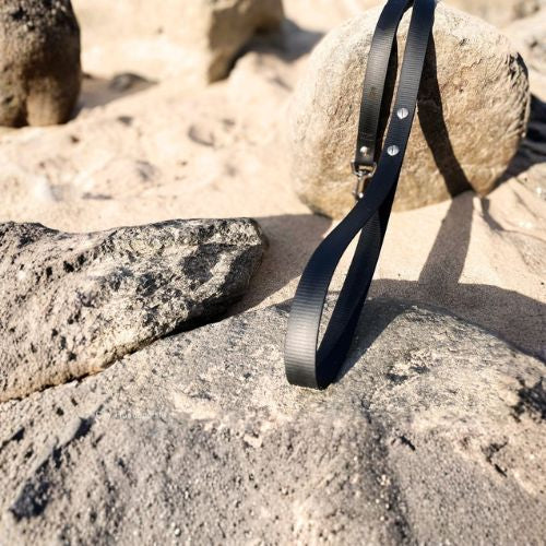 Hundeleine UM'S ECK (1,50 m) aus BioThane®/POP - Band
