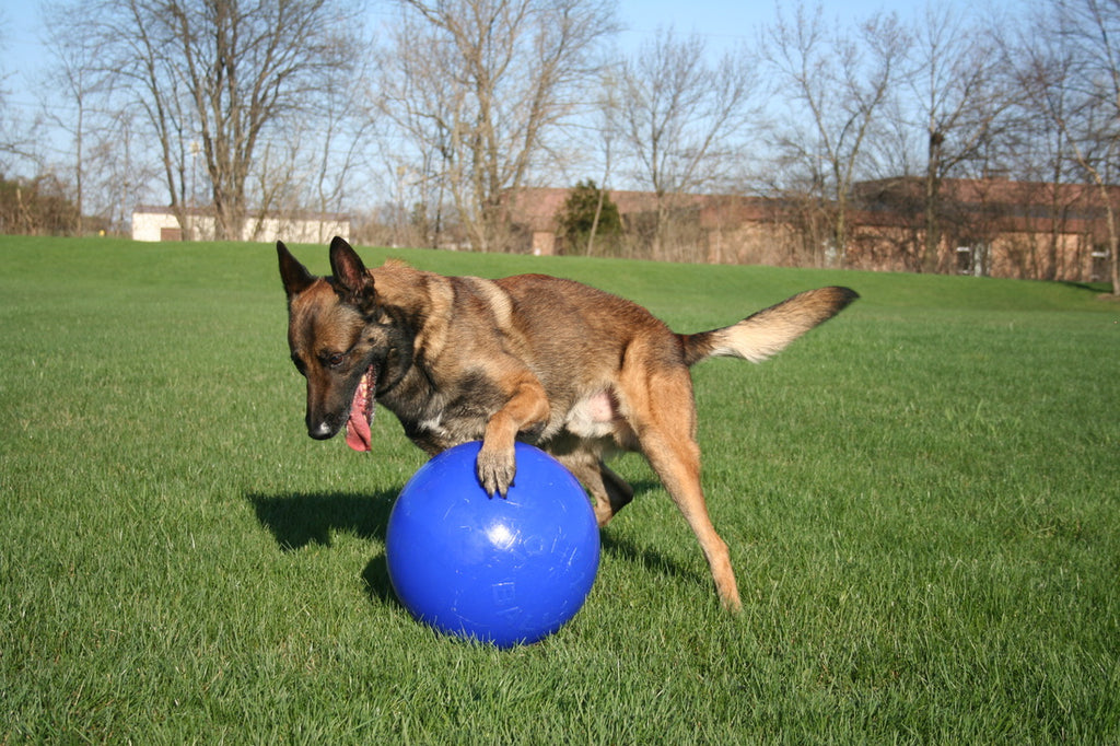Jolly Push-n-Play Rot XL (35 cm)