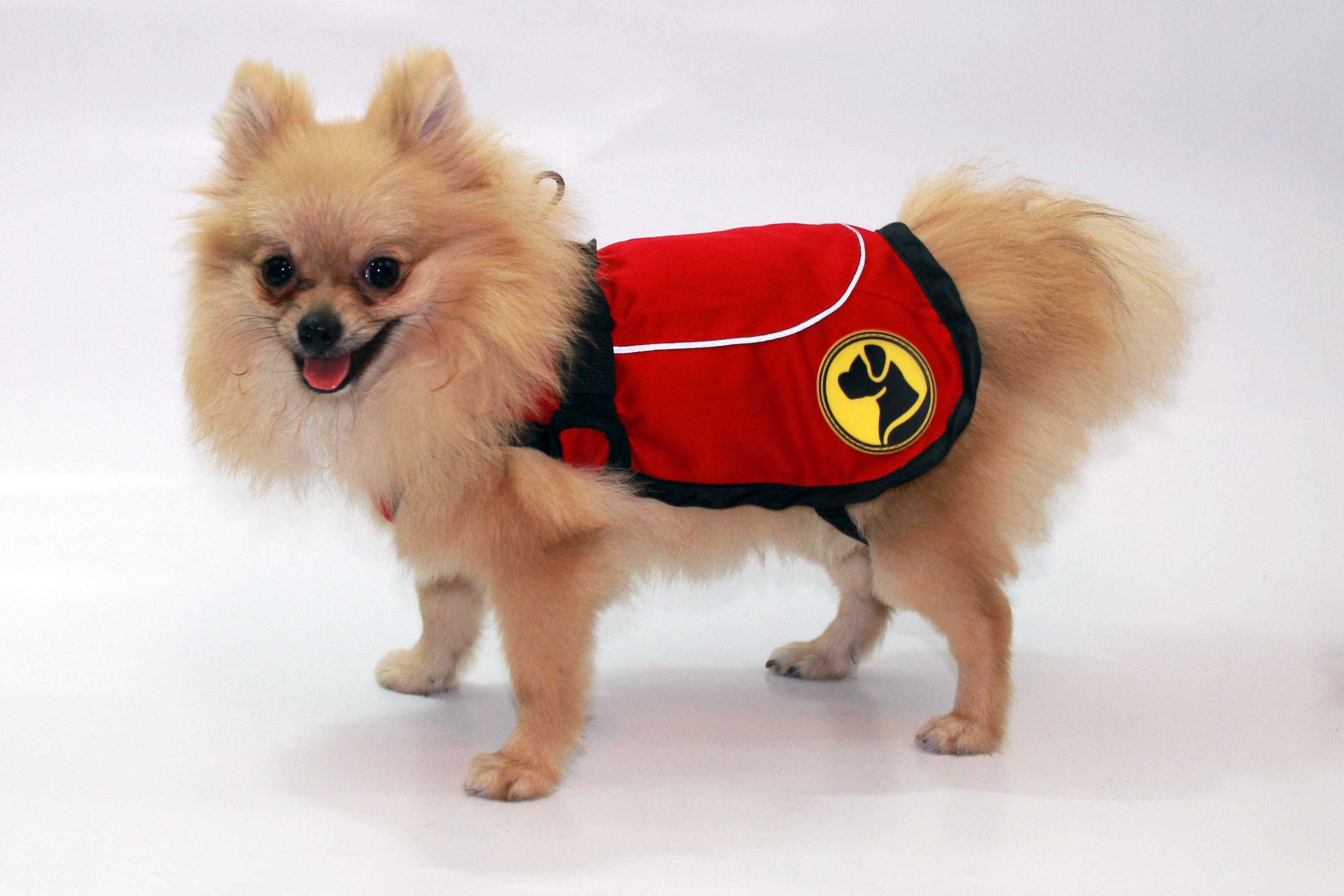 Dog Armor Knockdown Coat (Insect Shield) M (50cm rückenlange)