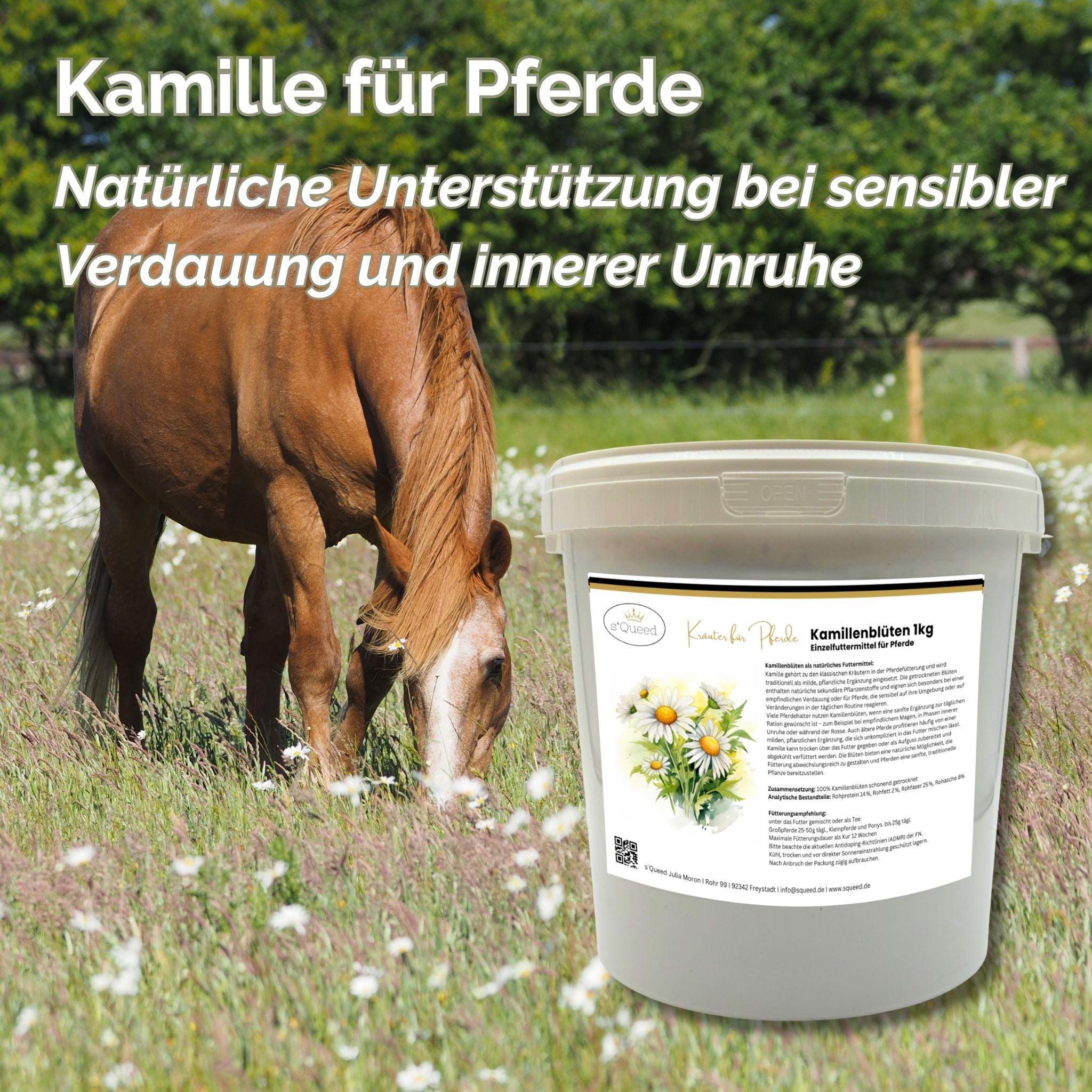 Kamille Pferd 1kg ganze Blüte - TierVita