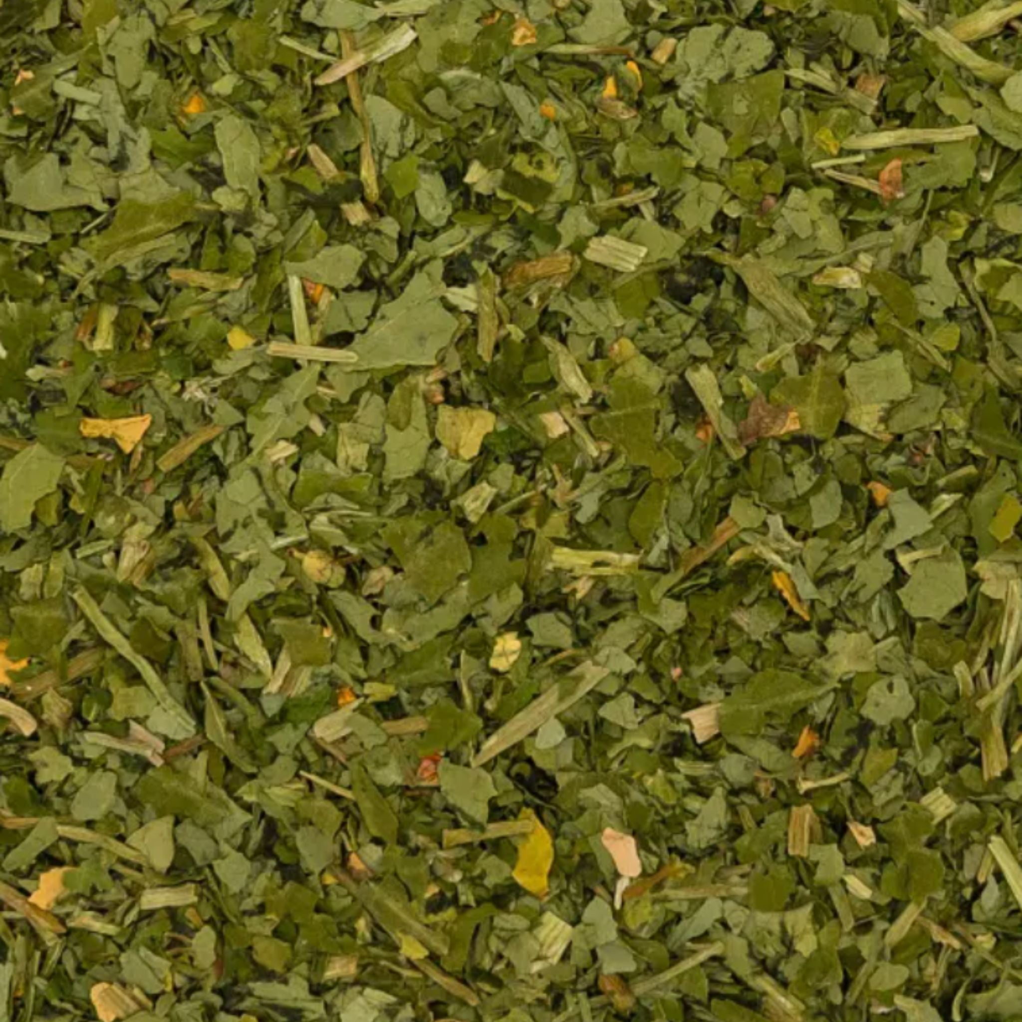 Kapuzinerkresse Pferd 1kg