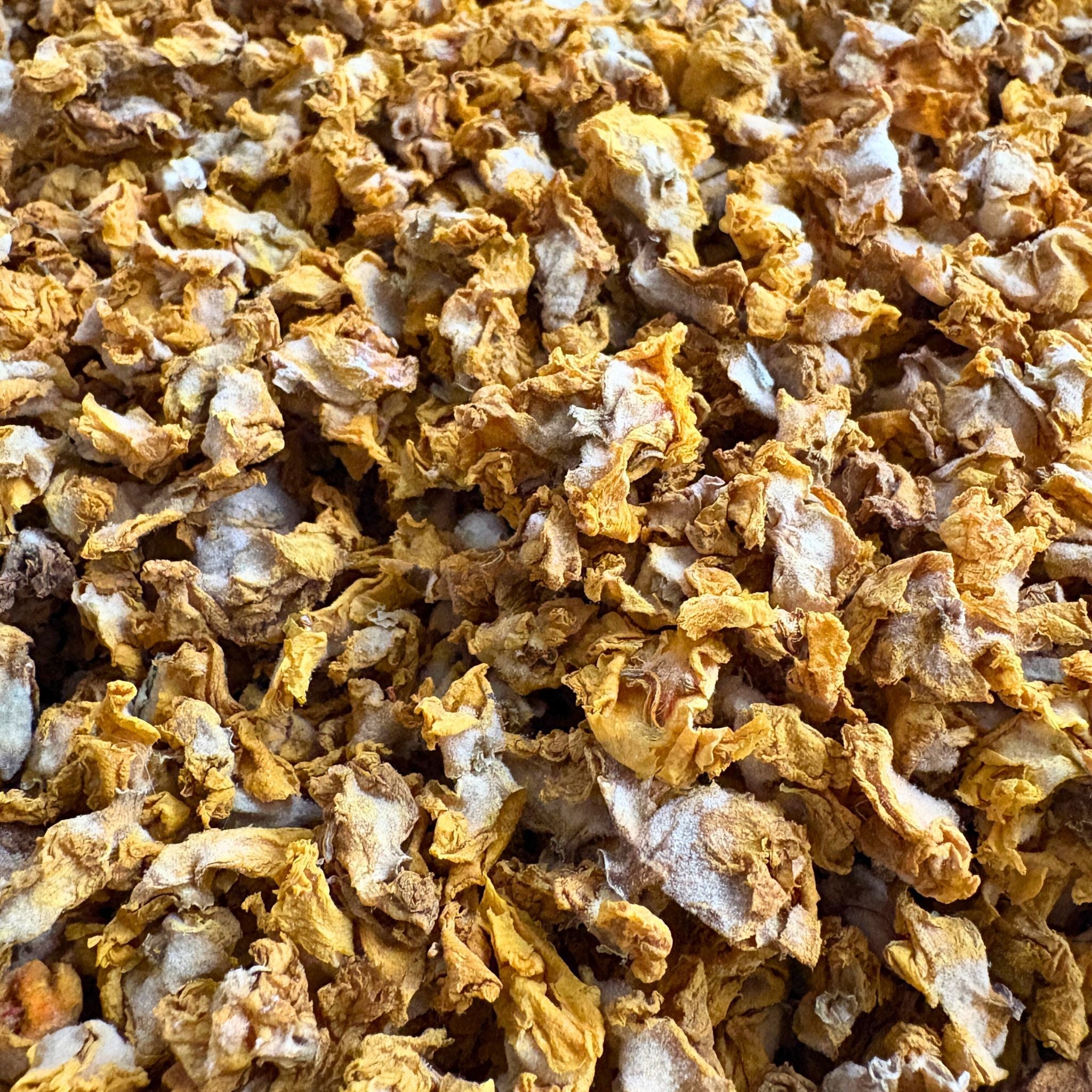 Königskerzenblüten Pferd 500g - TierVita