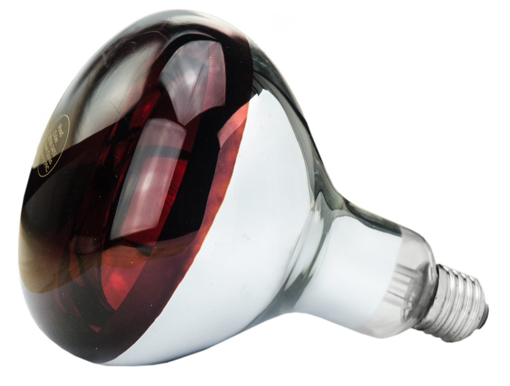 Hartglas Lampe 250 W - Rot