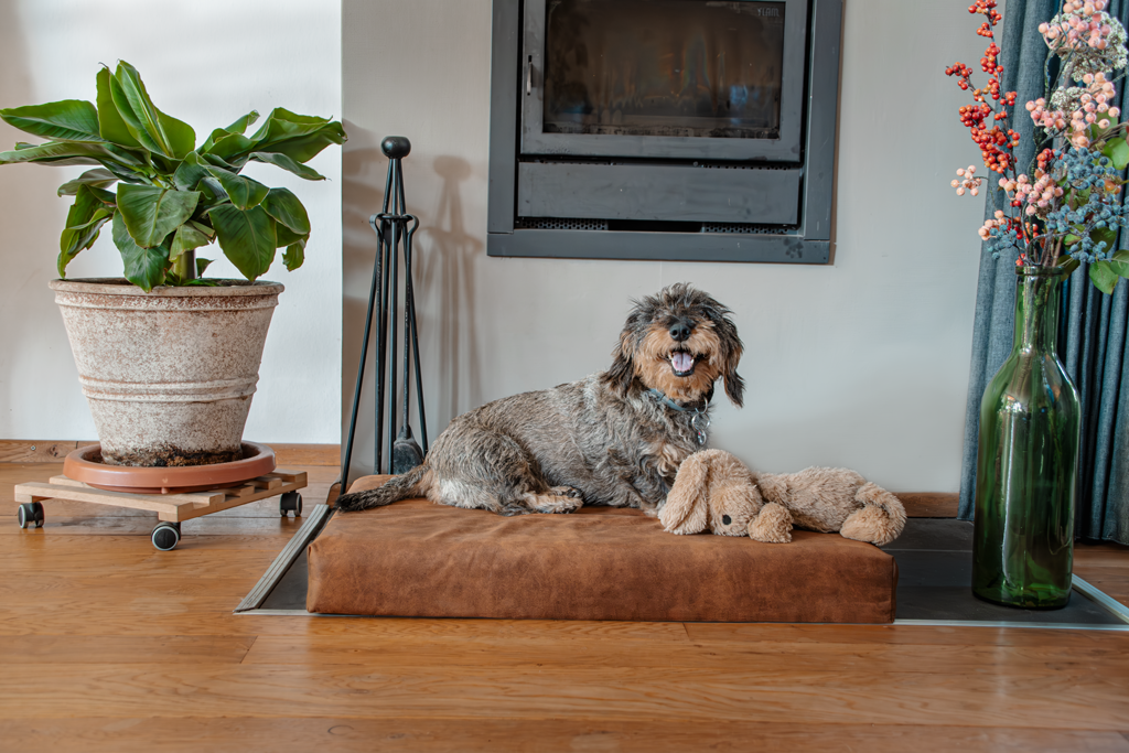 Let's Sleep Mellow Mattress Orthopädisches Bett L Taupe