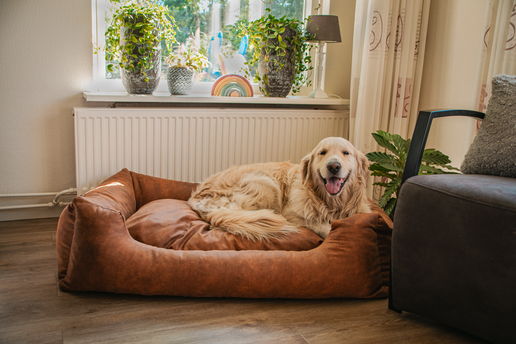 Let's Sleep Sweet Dreams Hundekorb Mit Kissen L Anthrazit