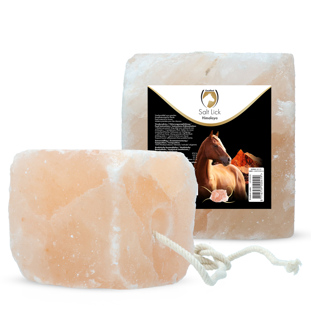 Excellent Horse Salt Lick Himalaya – Himalaya-Leckstein für Pferde mit Seil, 2–3 kg