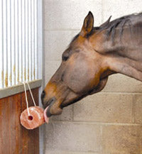 Excellent Horse Salt Lick Himalaya – Himalaya-Leckstein für Pferde mit Seil, 2–3 kg