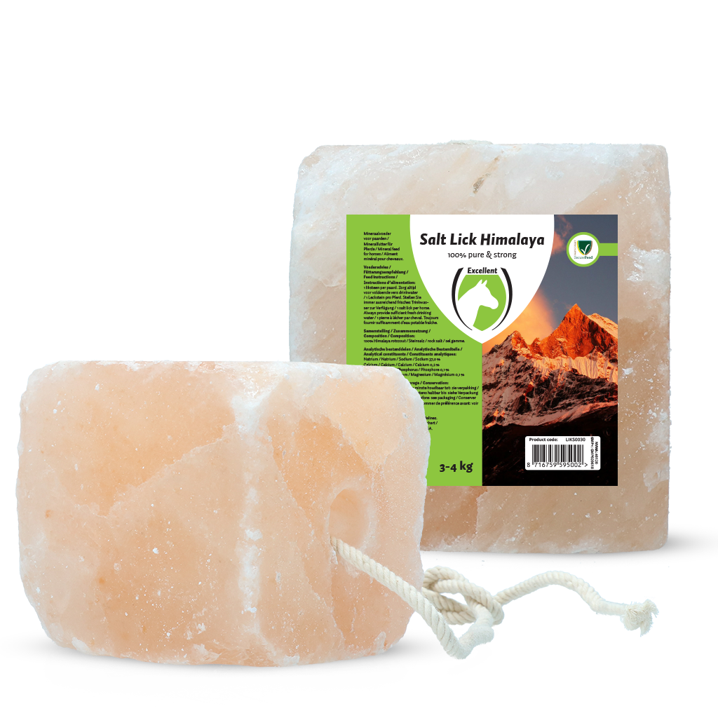 Excellent Horse Salt Lick Himalaya – Himalaya-Leckstein für Pferde mit Seil, 3–4 kg