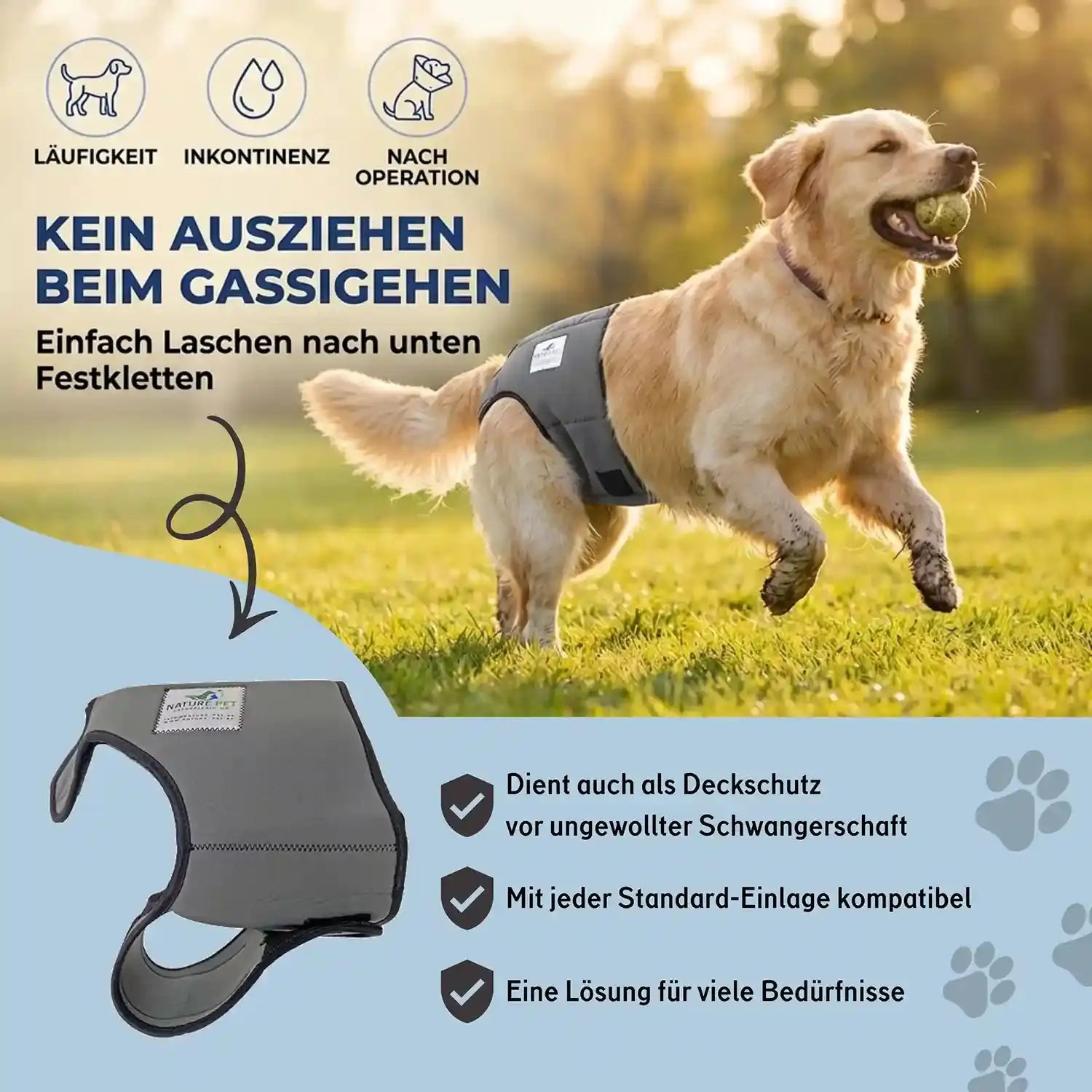 Läufigkeitshose für Hündinnen