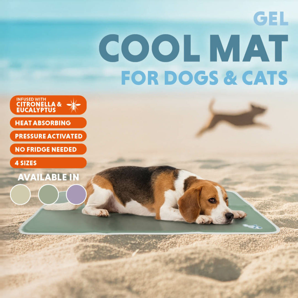 Kühlmatte Hund XL 70×120 cm – CoolPets Premium Gel mit Citronella & Eukalyptus
