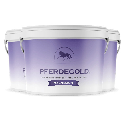 Pferdegold® Magnesium – Dreifach-Magnesium-Formel für Pferde 1,5 kg