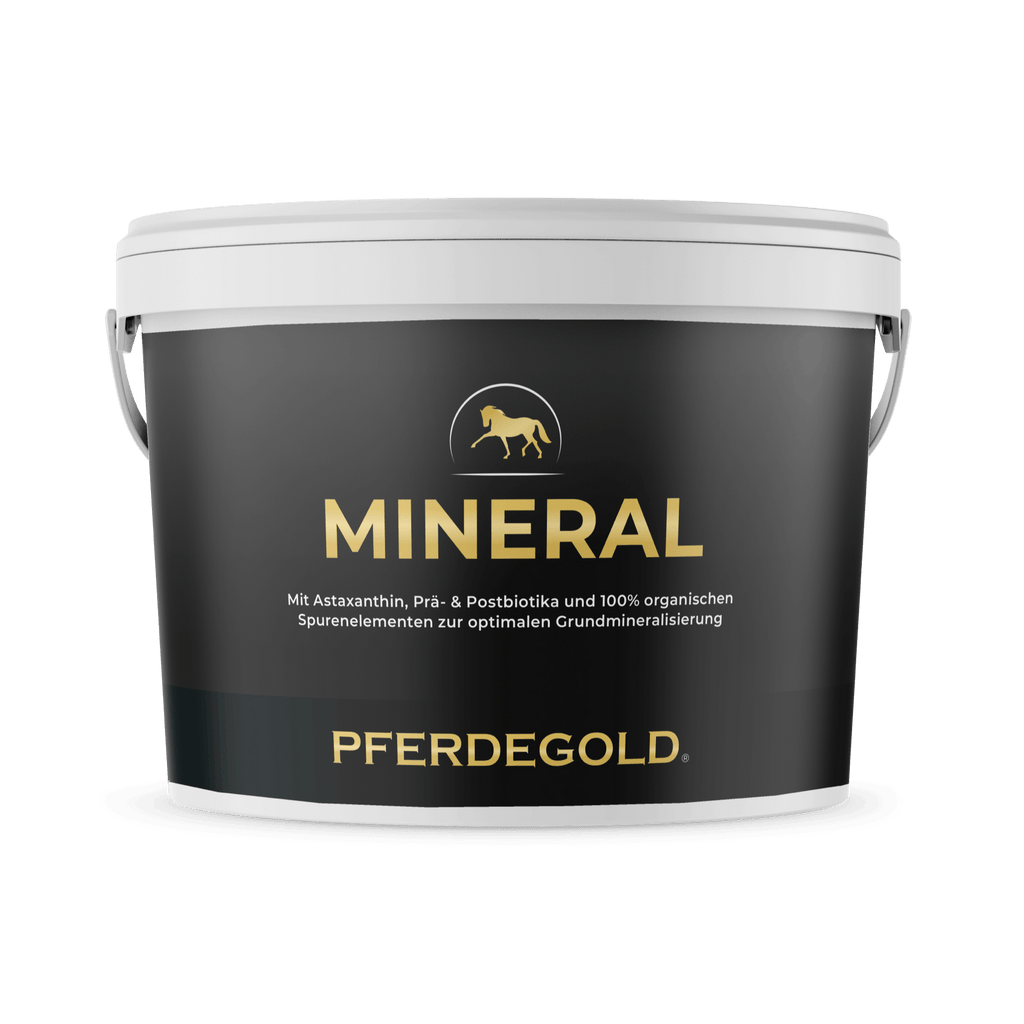 Pferdegold® Mineral 2.0 – Mineralfutter für Pferde mit Spurenelementen & Omega 3
