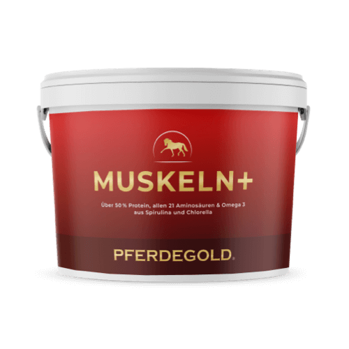 Pferdegold® Muskeln+ 2.0 – Muskelaufbau-Ergänzung für Pferde mit pflanzlichen Proteinen