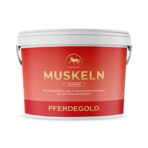 Pferdegold® Muskeln 2.0 Sojafrei – Muskelaufbau-Ergänzung für Pferde 1,5 kg