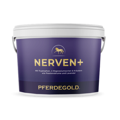 Pferdegold® Nerven+ mit Tryptophan – Ergänzung für nervöse Pferde