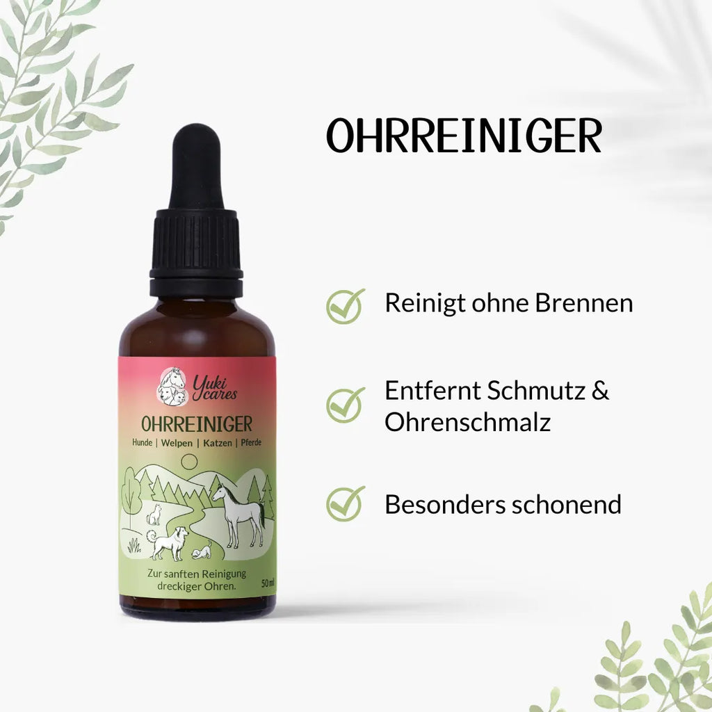Ohrreiniger