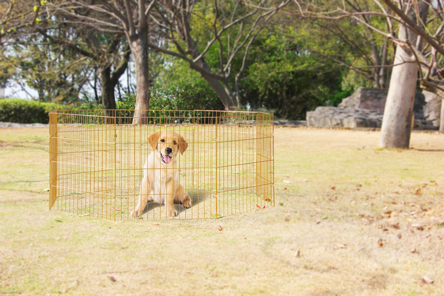 Pawise Dog Play Pen S