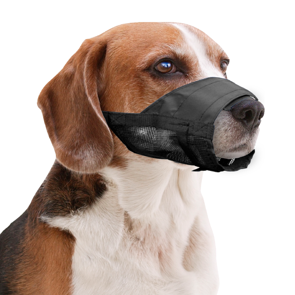Pawise Adjustable Nylon Muzzle M