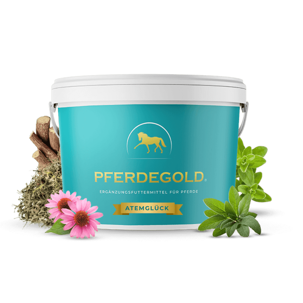 Pferdegold® Atemglück – Ergänzungsfutter für gesunde Atemwege beim Pferd