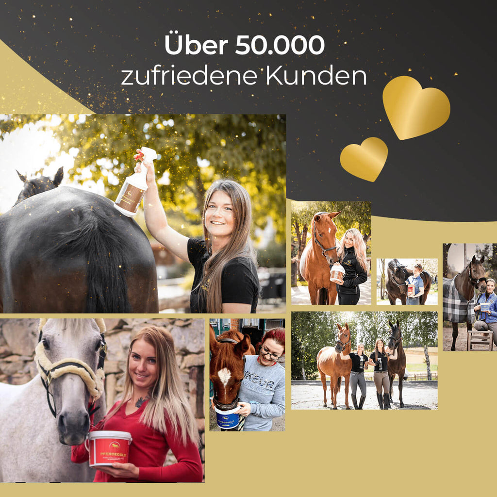 Pferdegold® Insektenschutzspray – Bremsenspray für Pferde 500 ml