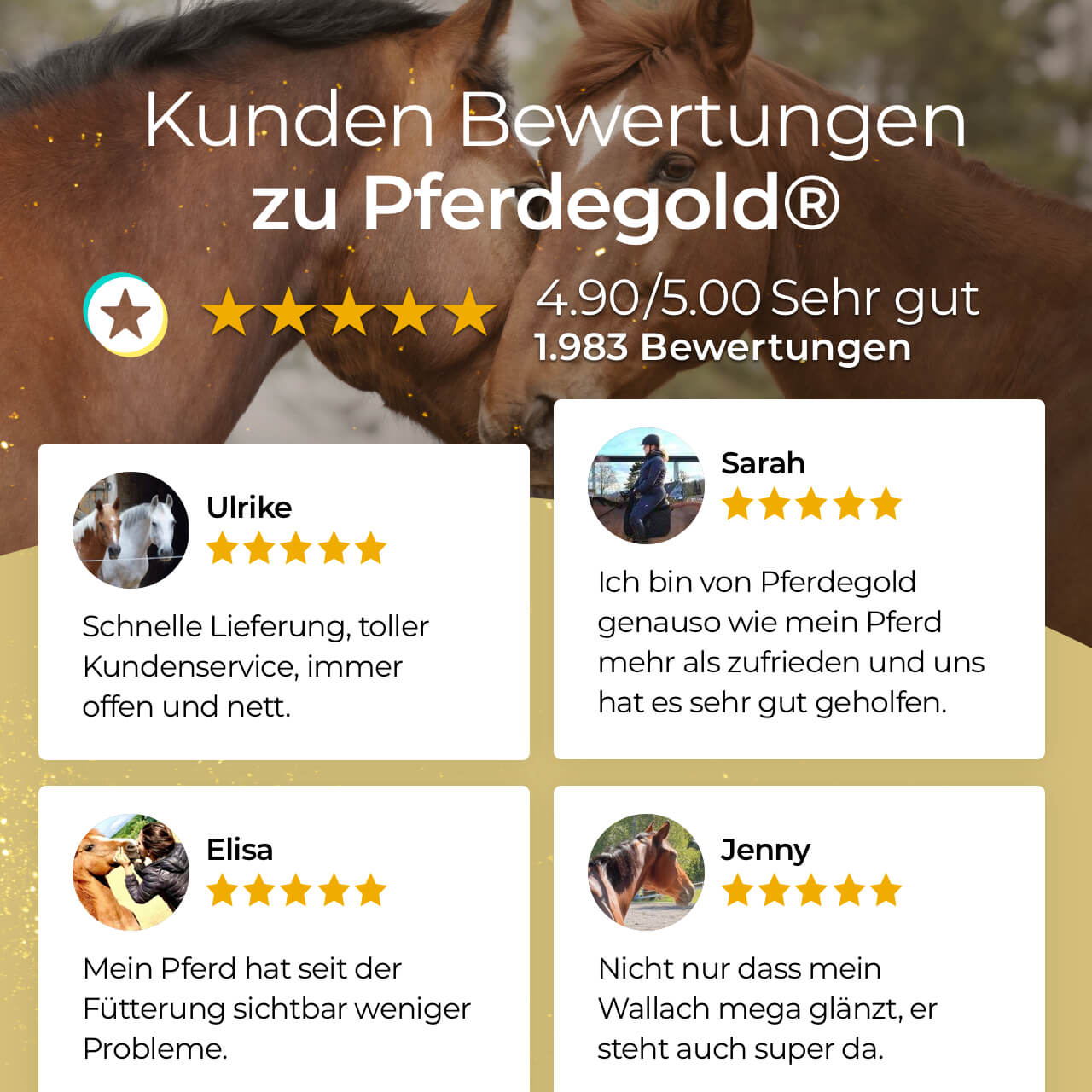 Pferdegold® Darm Akut – Ergänzungsfutter für die Verdauung des Pferdes 750 g