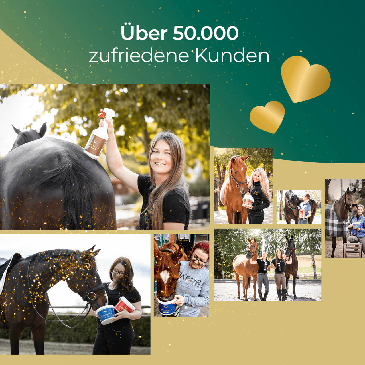 Pferdegold® Darm Akut – Ergänzungsfutter für die Verdauung des Pferdes 750 g