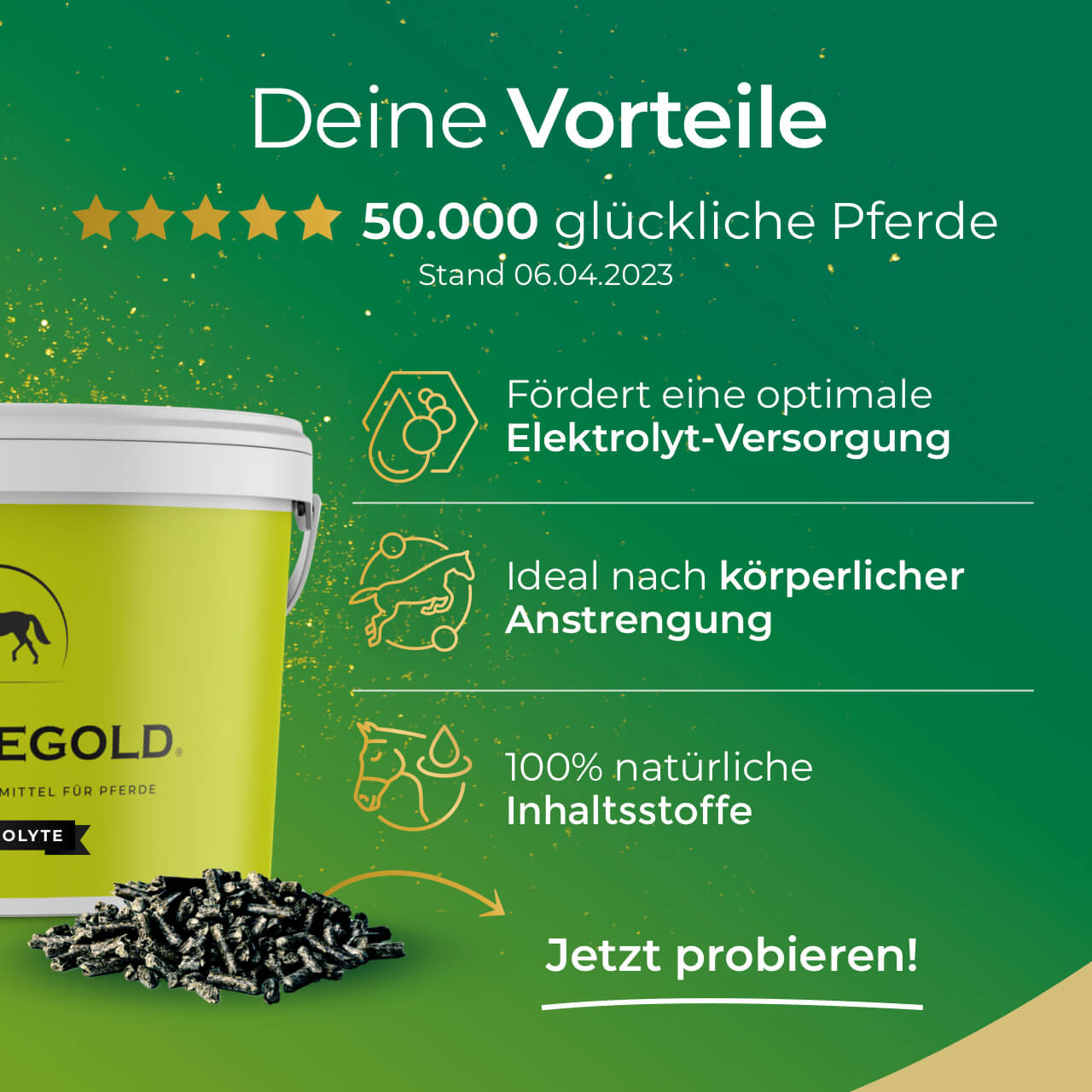 Pferdegold® Elektrolyte – Elektrolytausgleich für Pferde 1,5 kg