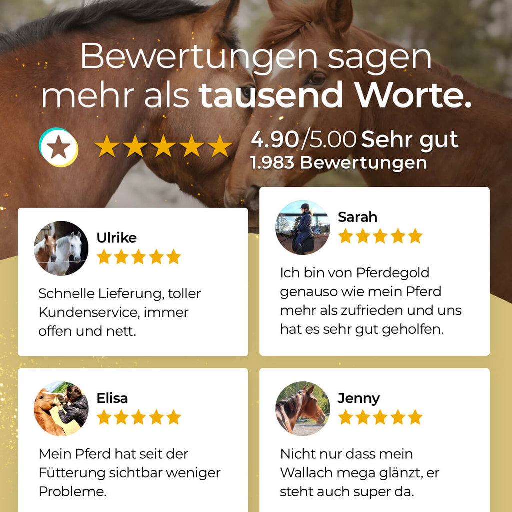 Pferdegold® Elektrolyte – Elektrolytausgleich für Pferde 1,5 kg