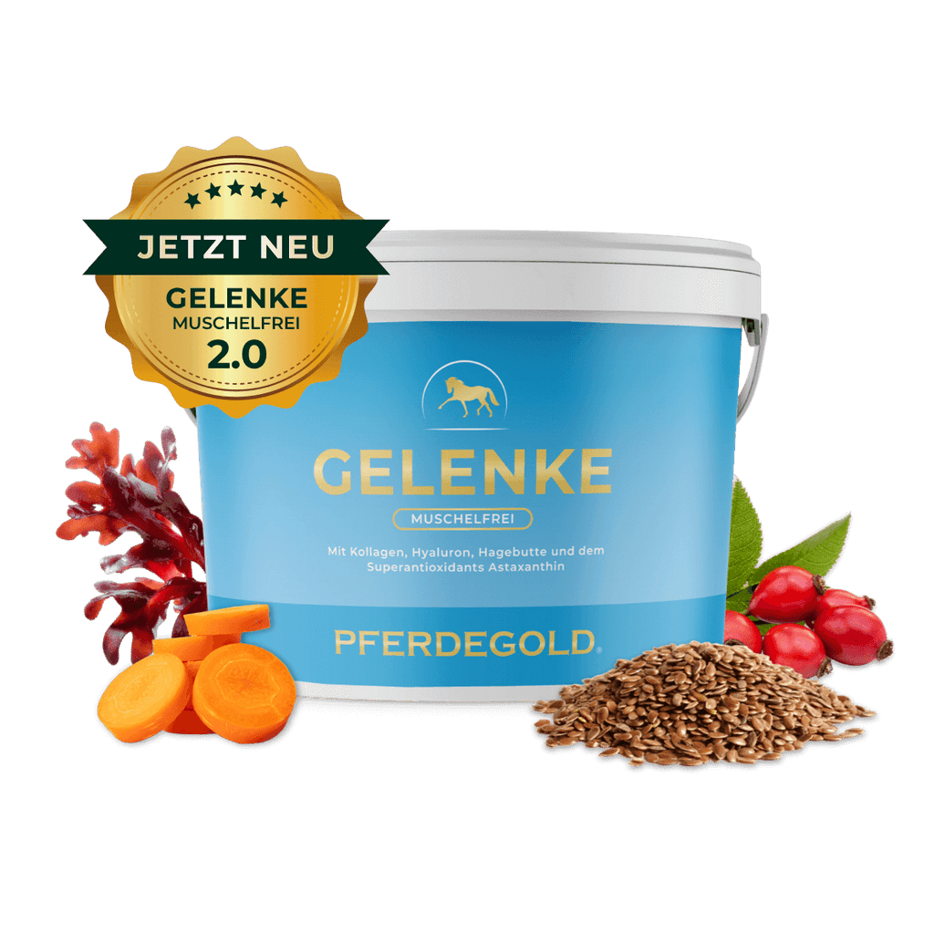 Pferdegold® Gelenke Muschelfrei 2.0 – Gelenknahrung für Pferde ohne Grünlippmuschel