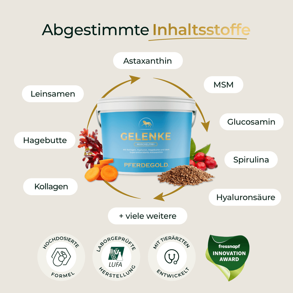 Pferdegold® Gelenke Muschelfrei 2.0 – Gelenknahrung für Pferde ohne Grünlippmuschel