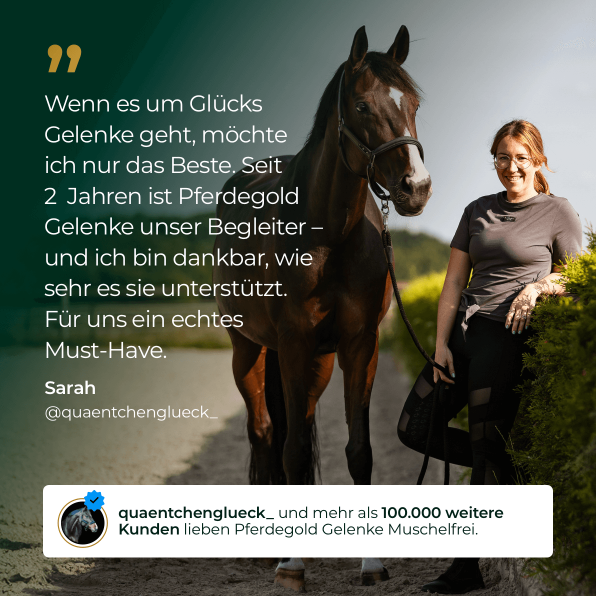 Pferdegold® Gelenke Muschelfrei 2.0 – Gelenknahrung für Pferde ohne Grünlippmuschel