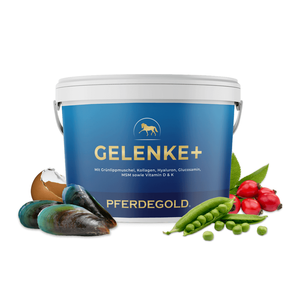 Pferdegold® Gelenke+ 2.0 – Gelenknahrung für Pferde mit Omega 3