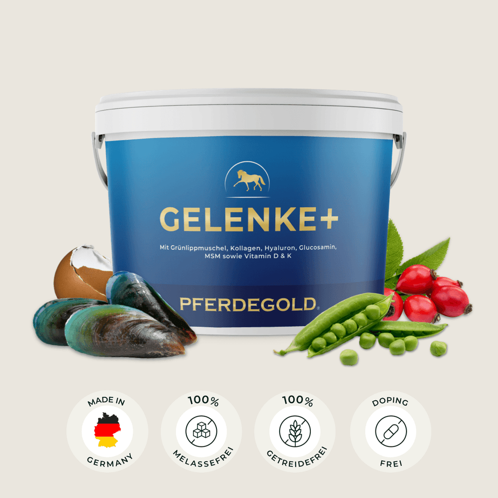 Pferdegold® Gelenke+ 2.0 – Gelenknahrung für Pferde mit Omega 3