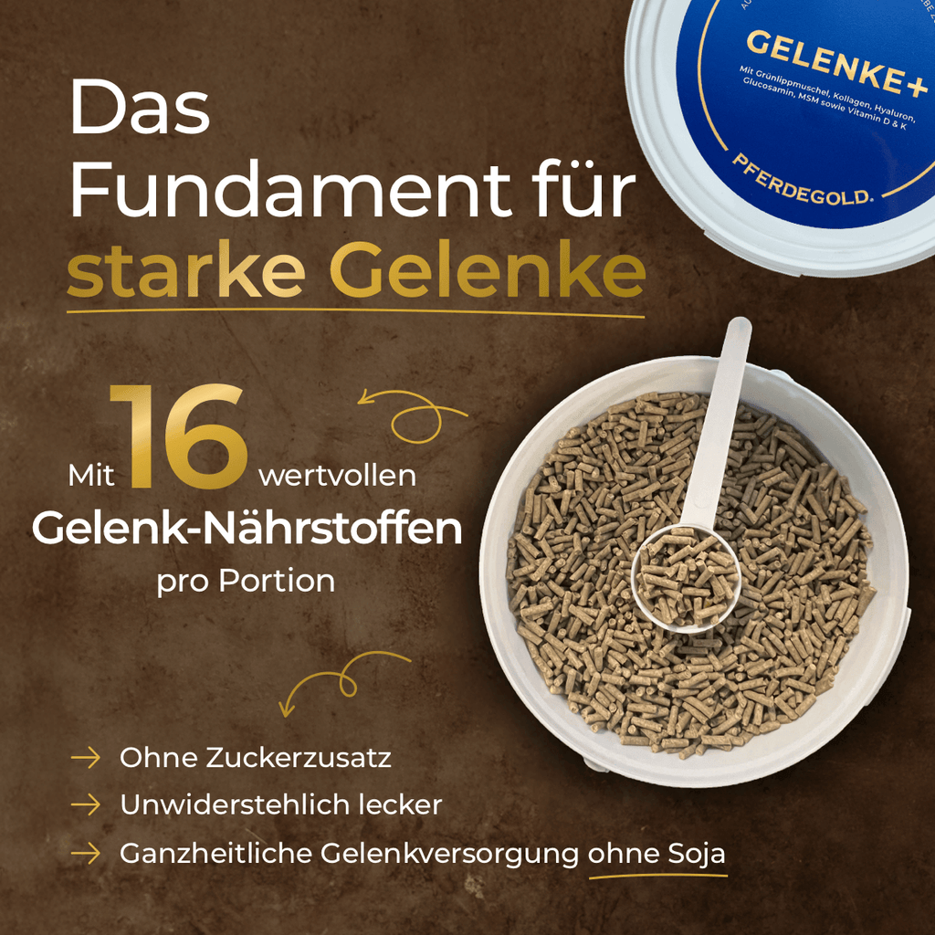 Pferdegold® Gelenke+ 2.0 – Gelenknahrung für Pferde mit Omega 3